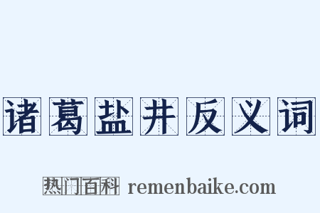 诸葛盐井反义词是什么意思的图片